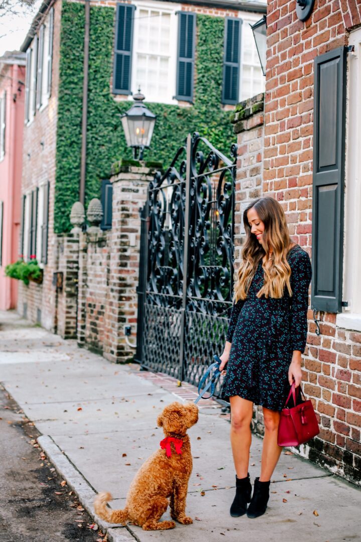 My Favorite Holiday Dresses from Draper James - Alexandra Moss