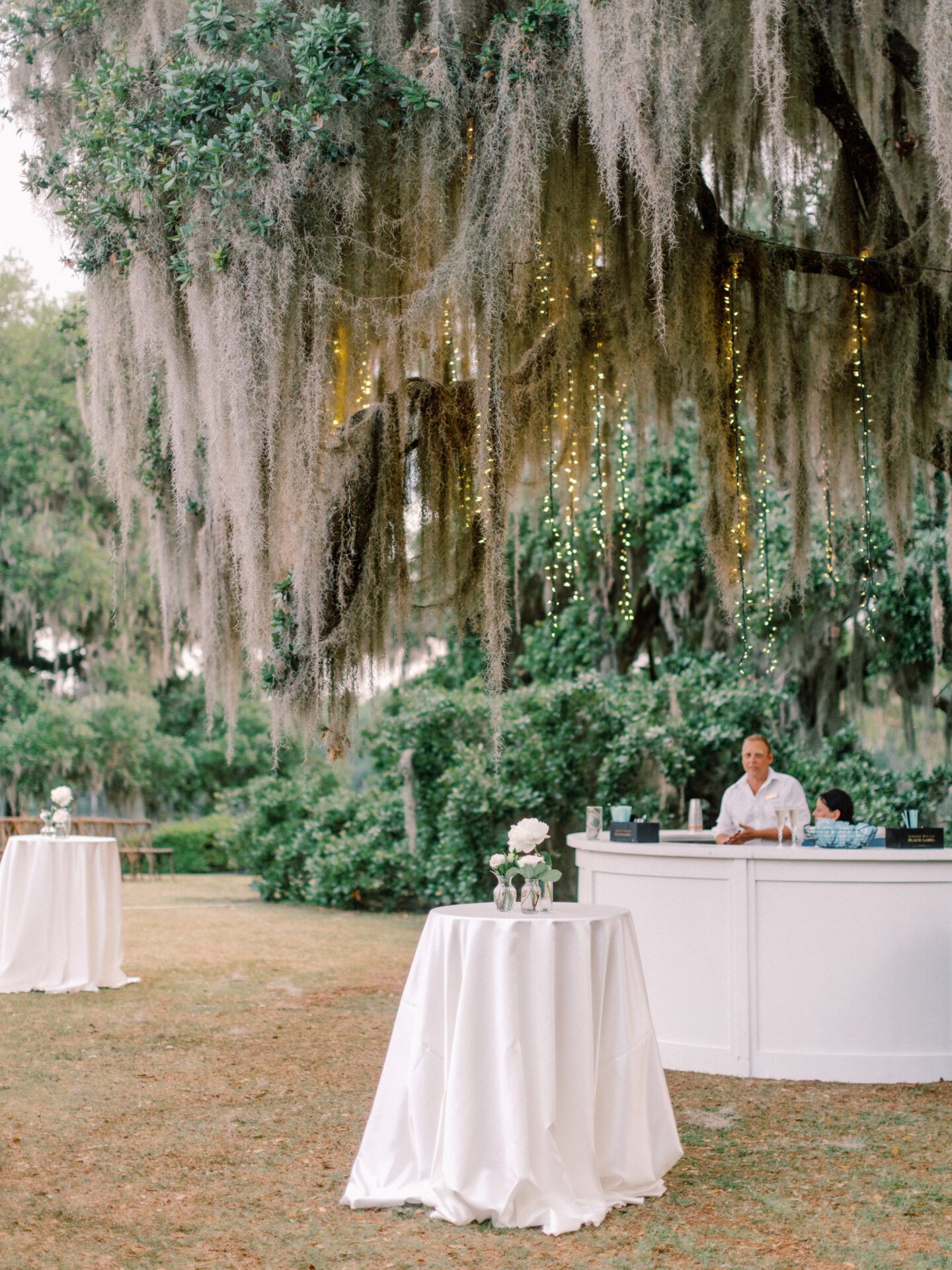 A wedding reception under a spanish moss canopy.