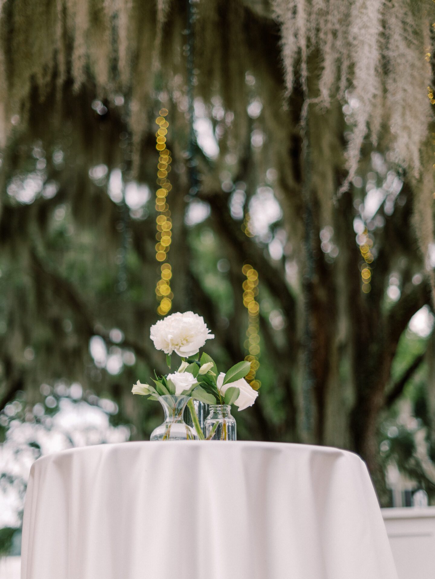 A table with white flowers on it under a spanish moss canopy.