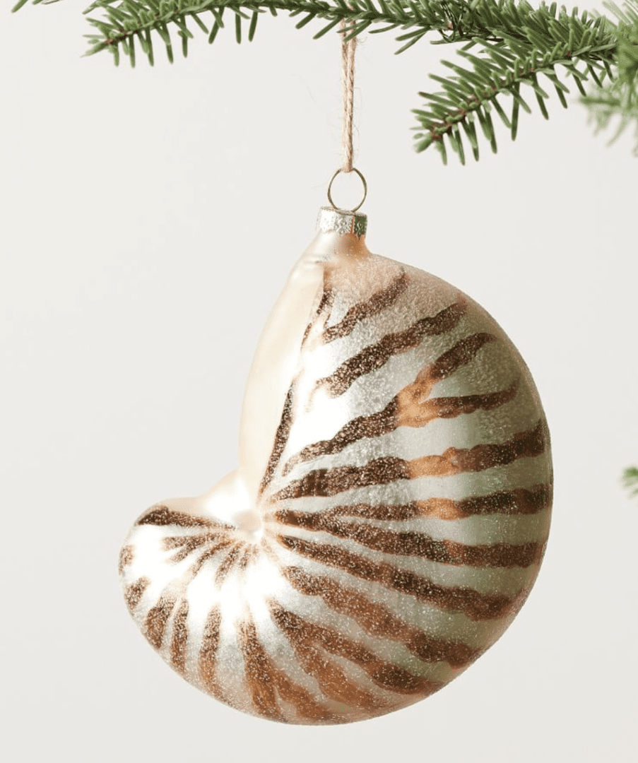 conch shell ornament